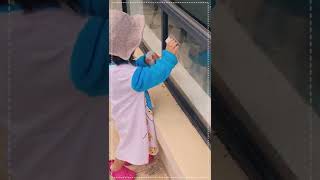 Ask your child to wash the windows! | Montessori WINDOW WASHING ACTIVITY 2 year old #shorts