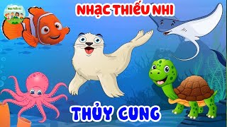 Nhạc Thiếu Nhi | Bé đi thủy cung ngắm các con vật dưới nước | Nhạc thiếu nhi bé học tập thông minh