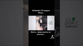 В Кувейт  73 градус жара