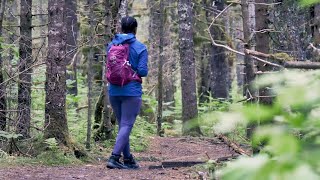 Hiking Tonsina Creek Trail | Seward Alaska | We found a Cabin!