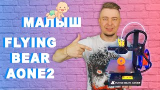 FLYING BEAR AONE 2 - на что способен недопринтер?