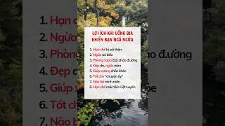 Lợi ích khi uống bia khiến bạn ngã ngửa #suckhoe #doisong #baihoccuocsong #xuhuong #reels