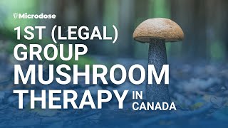 1st (Legal) Group Psilocybin Mushroom Therapy — Pamela Kryskow, Roots to Thrive | #PsyCap Nov '21