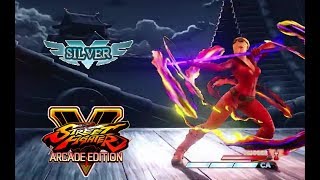 Falke: Rank Silver | Street Fighter V | PC + Keyboard Gameplay | HD 1080p