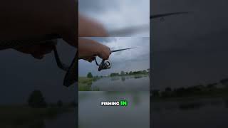 🤩 Baitcaster vs Spinning Reel - What's Your Best Choice