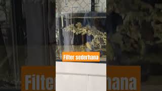 filter sederhana aquarium laut #shorts