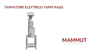 TAPPATORE ELETTRICO PER TAPPI RASO AIRSUG/ELECTRIC CAPPER FOR FLUSH CAPS