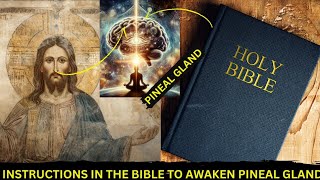 The HIDDEN Teachings Of Jesus To Activate The Pineal Gland (Christ Consciousness)