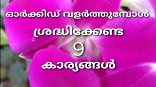 ഓർക്കിഡ് വളർത്തുന്നവർ ശ്രദ്ധിക്കേണ്ട കാര്യങ്ങൾ | Tips for taking care of Orchids