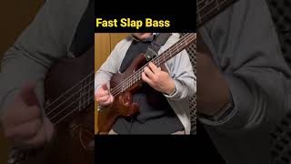 Fast Slap Bass Solo #slapbass #スラップベース #basssolo #ベースソロ #bassist #funkbass #bassline