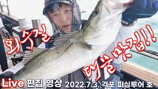 [생새우외수질]2022.7.3 격포 외수질 낚시