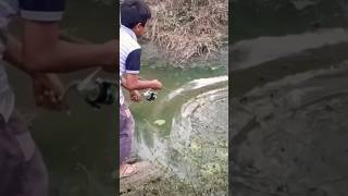 KaGet bro!!!! NariK ikan besar #mancing #fishing #mancingikangabusbesar #ikan @FebriMancing