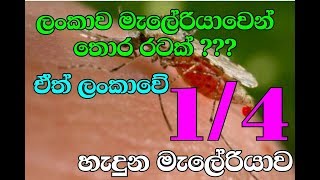 ලංකාවේ හතරෙන් එකකට හැදුන මැලෙරියා වසංගතේ