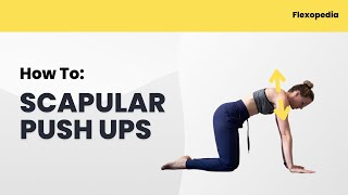 How To: Scapular Push Ups [Flexopedia Entry 118]