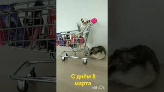 С днём 8 марта