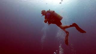 Bonaire 2021 Dive 16 - 18th Palm