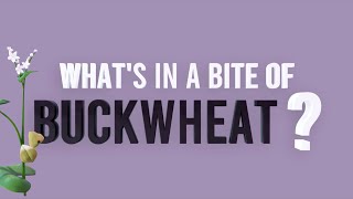 What's in a Bite of Buckwheat?