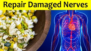 How to Repair Damaged Nerves Naturally | Nerve Pain Treatment