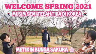 WELCOME SPRING 2021 - MUSIM SEMI DI KOREA 🇰🇷🌸