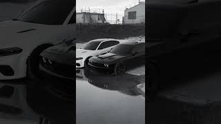 Dodge Challenger demon lion