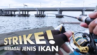 STRIKE‼️ BERBAGAI JENIS IKAN 🐟🐟|| MANCING DI SEPUTARAN TOL BALI MANDARA