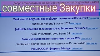 28 июля 2023 г.  Совместные закупки - это как? Розы, хвойные, рододендроны. Сезон 2023-2024