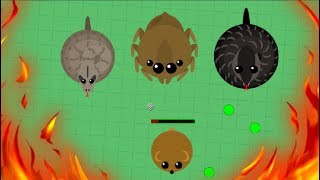 mope.io//pllexx h20//New Mope.io Update... giant Spider web//