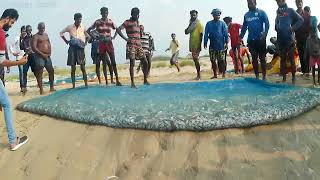 FISHING VIDEO LIVE 🦈|| 🐠 sea fish || natural and relaxing beach video 😜 || #fishing #sea #beach