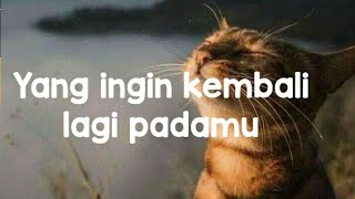 💘Yang ingin kembali lagi padamu