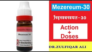 Mezererum | मेजेरियम | Actions | Doses | Explained in Urdu/Hindi