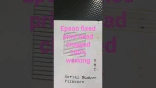 Epson fixed print head clogged 100% working