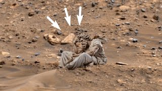 Mars Revealed: 4k New Video Footages from the Red Planet's - Perseverance New Images Sol 1278