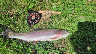 Fly fishing Duncton Mill Trout Fishery with new Sunray California Glass Fly Rod 8" 4 weight.