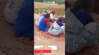 agriculture filed work aundipatti| Indiagro