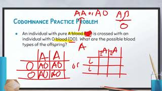 Biology: Video 7-2: Complex Inheritance Patterns