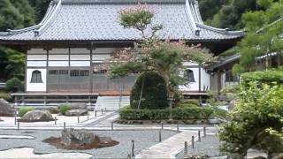 Kinosaki onsen summer and bumpy train ride.