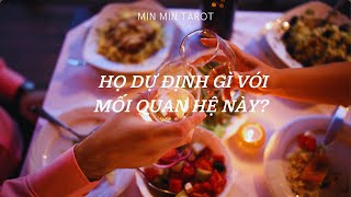 CHỌN 1 TỤ BÀI: HỌ DỰ ĐỊNH GÌ VỚI MỐI QUAN HỆ NÀY?