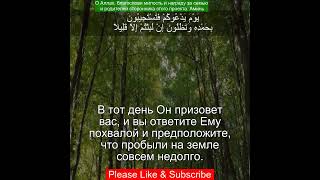 Коран Сура Аль Исра | 17:52 | Чтение Корана с русским переводом | Quran Translation