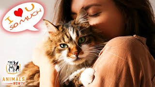 7 Best Ways To Tell Your Cat You Love Them