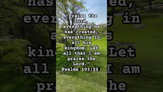 Praise the Lord #shortsfeed #christianmotivation #bible #god #praiseandworship #bibleverses