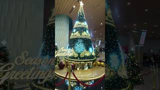 Mumbai Airport XMass Tree #shorts #mumbaiairport