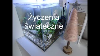 Wesołych świąt