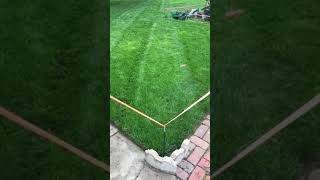 2019 LAWN RENOVATION result review in 2020 part 3