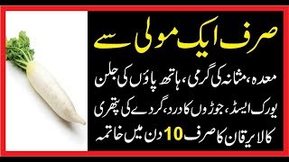 Uric Acid Ka Elaj in Urdu |High Uric Acid 10 Aasan Upay|JIgar |Maidy|Masany Ki Garmi