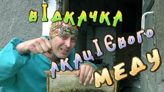 АКАЦІЄВИЙ МЕД. ВІДКАЧКА.