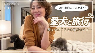 愛犬と旅行に行きました〜【カバンの中身】