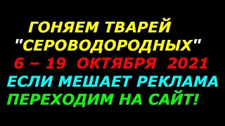 Гоняем  тварей сероводородных  с 6 по 19 октября 2021г