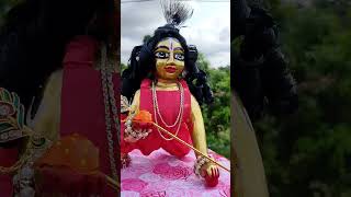 Laddu Gopal/ Good Morning Gopu Sona ❤ #viral #laddugopal #gopalsona