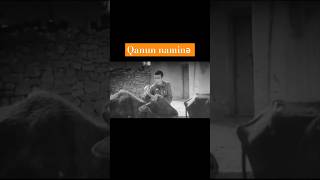 "Qanun naminə" filmi #shorts