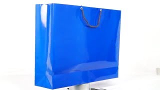 Blue Bags 15.5 width x 12 height x 4inch bottom